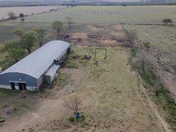 Campo Mixto En Quebracho! 98ha