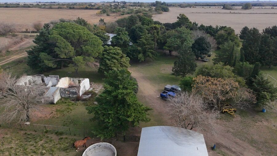 Campo Mixto En Quebracho! 98ha