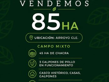 Campo Mixto + 3 Galpones de Pollo