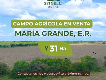 Campo Agricola de 31ha