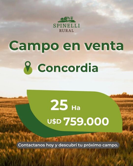 25ha en Concordia