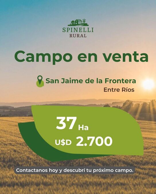 37ha en San Jaime de la Frontera