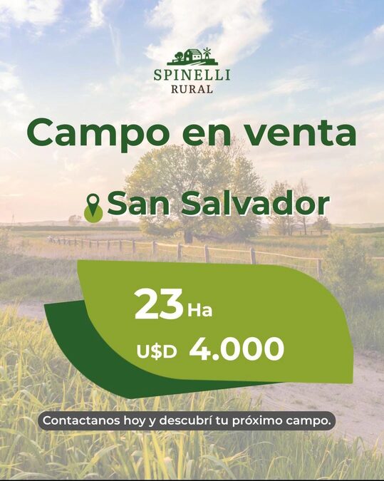 23ha en San Salvador