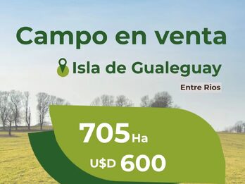 705ha de Isla en Gualeguay
