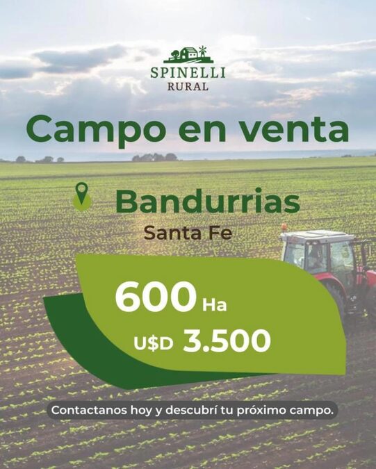 600ha en Cañada Rosquin