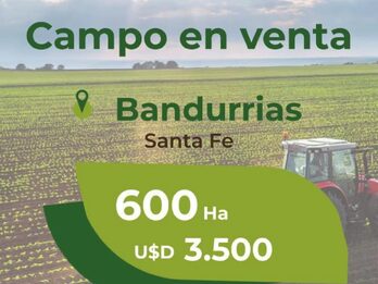 600ha en Cañada Rosquin