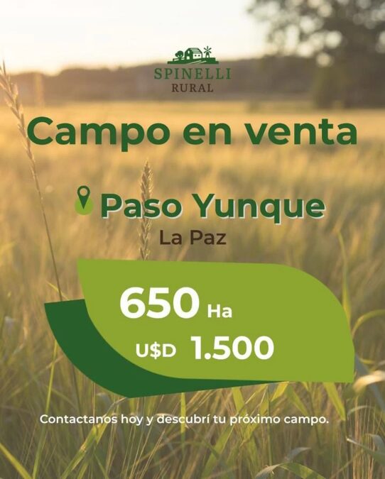 650 ha Ganaderas en La Paz
