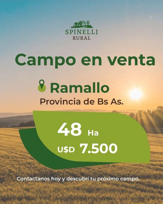 48ha agrícolas en Ramallo
