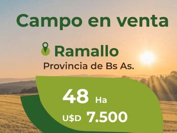 48ha agrícolas en Ramallo