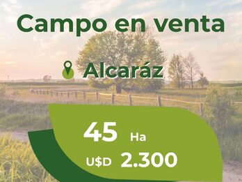 45ha en Alcaraz 2da