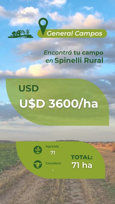 71ha en Gral Campos
