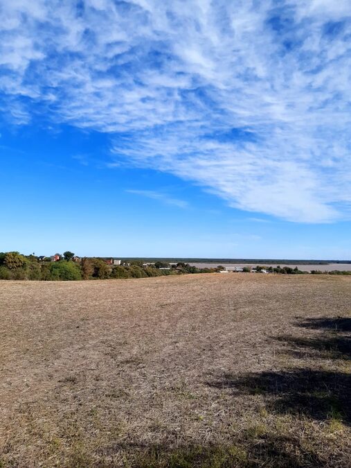 Venta 3,8 Hectáreas