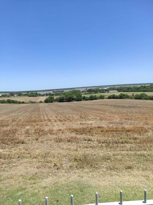 Venta 3,8 Hectáreas