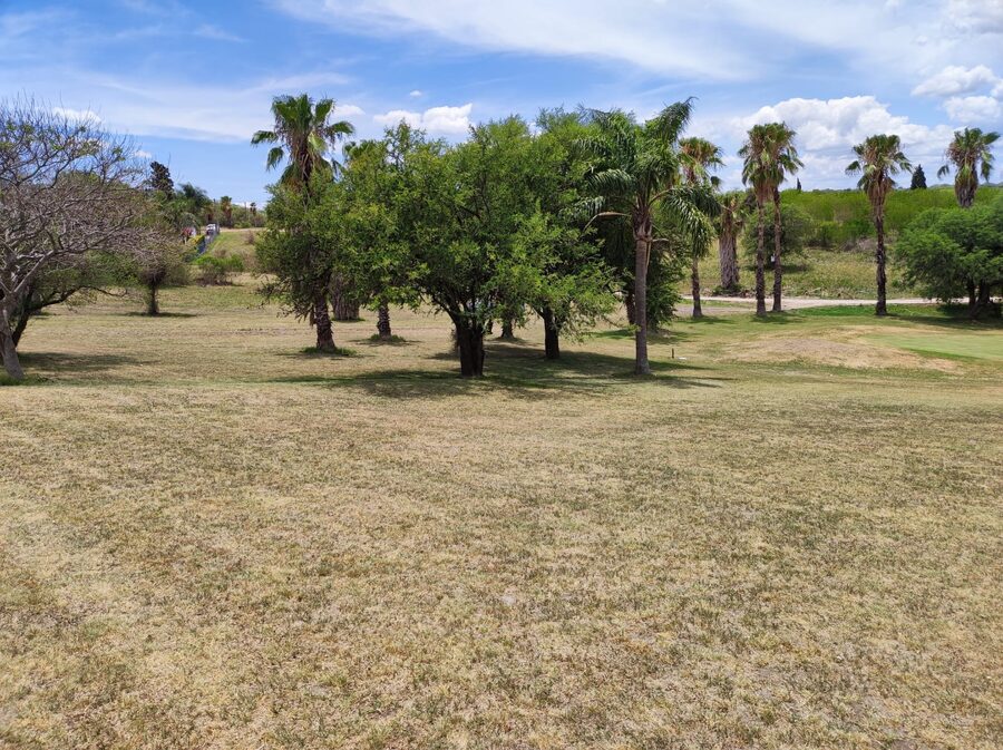 Terreno 800 mts LAS COLINAS