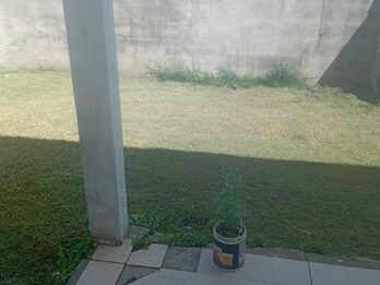 ORO VERDE VENTA CASA 2 DORM