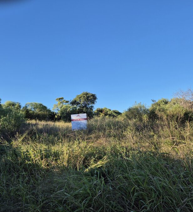 LOTE EN VENTA INVERSION PARANA BLAS PARERA