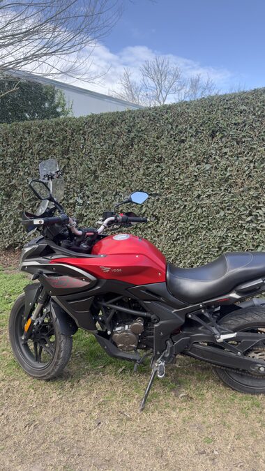VENDO VOGUE 300DS