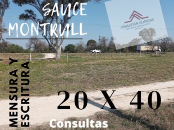 LOTES EN VENTA RUTA 12 SAUCE MONTRULL