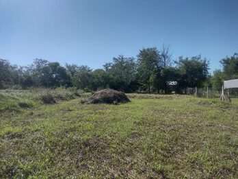 LOTES EN VENTA RUTA 12 SAUCE MONTRULL