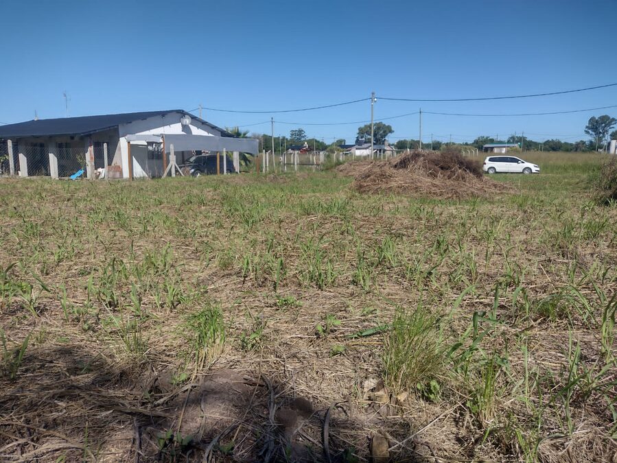 LOTES EN VENTA RUTA 12 SAUCE MONTRULL