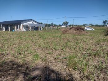 LOTES EN VENTA RUTA 12 SAUCE MONTRULL