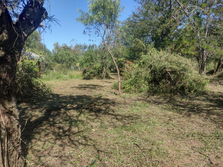 LOTES EN VENTA RUTA 12 SAUCE MONTRULL