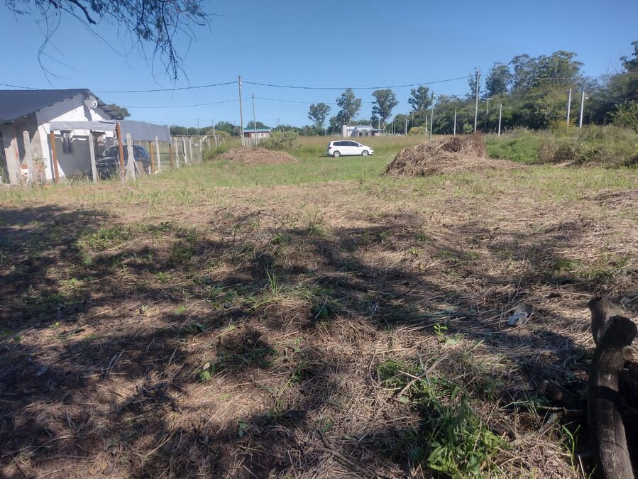 LOTES EN VENTA RUTA 12 SAUCE MONTRULL