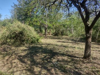 LOTES EN VENTA RUTA 12 SAUCE MONTRULL