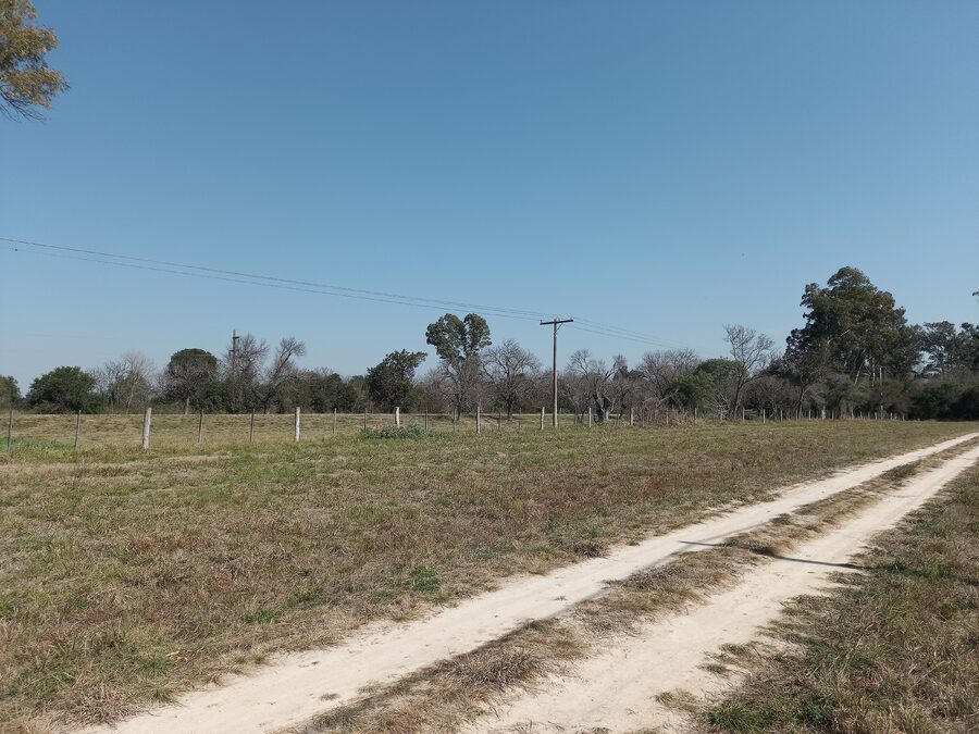 LOTES EN VENTA RUTA 12 SAUCE MONTRULL
