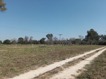 LOTES EN VENTA RUTA 12 SAUCE MONTRULL