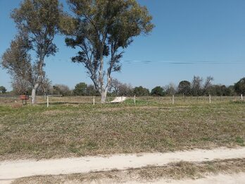 LOTES EN VENTA RUTA 12 SAUCE MONTRULL