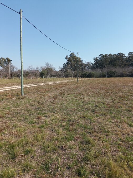 LOTES EN VENTA RUTA 12 SAUCE MONTRULL