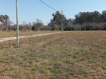 LOTES EN VENTA RUTA 12 SAUCE MONTRULL