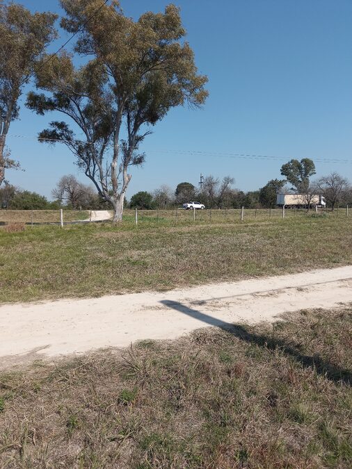 LOTES EN VENTA RUTA 12 SAUCE MONTRULL