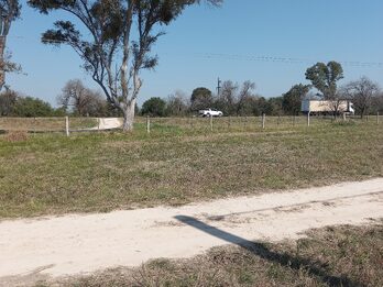 LOTES EN VENTA RUTA 12 SAUCE MONTRULL
