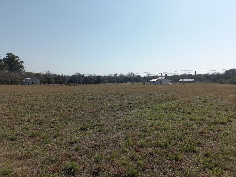 LOTES EN VENTA RUTA 12 SAUCE MONTRULL