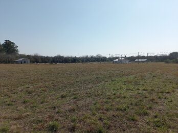 LOTES EN VENTA RUTA 12 SAUCE MONTRULL