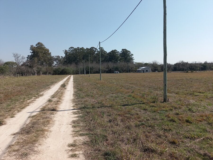 LOTES EN VENTA RUTA 12 SAUCE MONTRULL