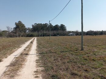 LOTES EN VENTA RUTA 12 SAUCE MONTRULL