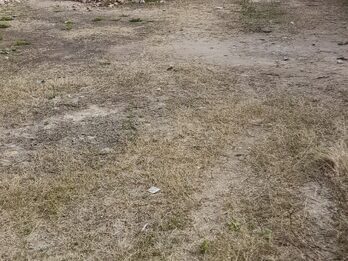 Vendo terreno en paraná