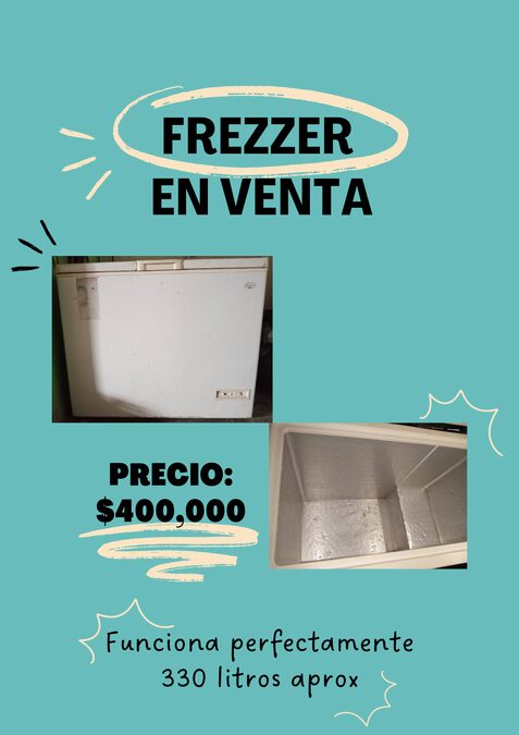 Frezzer 330 lts aprox
