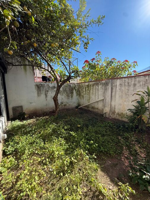 🔑 DEPARTAMENTO PLANTA BAJA 1 DORMI + PATIO VERDE | $500.000  🏢