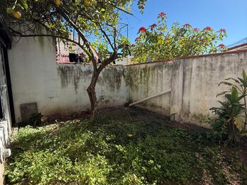 🔑 DEPARTAMENTO PLANTA BAJA 1 DORMI + PATIO VERDE | $500.000  🏢