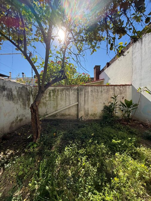 🔑 DEPARTAMENTO PLANTA BAJA 1 DORMI + PATIO VERDE | $500.000  🏢