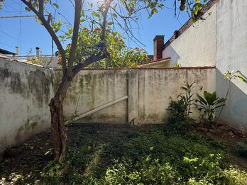 🔑 DEPARTAMENTO PLANTA BAJA 1 DORMI + PATIO VERDE | $500.000  🏢