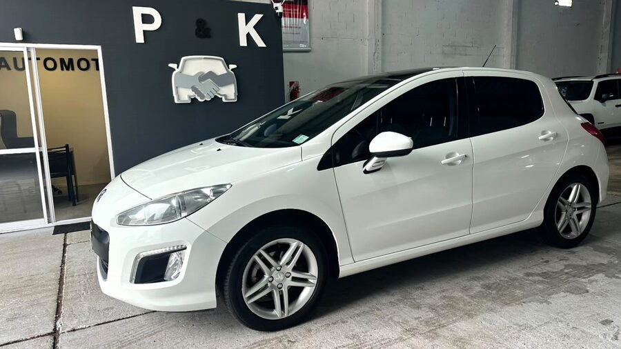 MUY LINDO 308 FELINE !!!