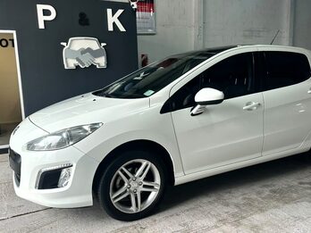 MUY LINDO 308 FELINE !!!
