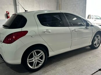 MUY LINDO 308 FELINE !!!