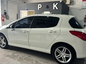 MUY LINDO 308 FELINE !!!