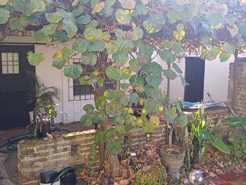 VENDO CASA CALLE PROVINCIAS UNIDAS